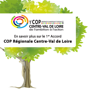 cop-centre-val-loire-devup.png